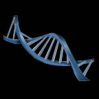 DNA_ladder