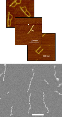 DNA origami and nanowires