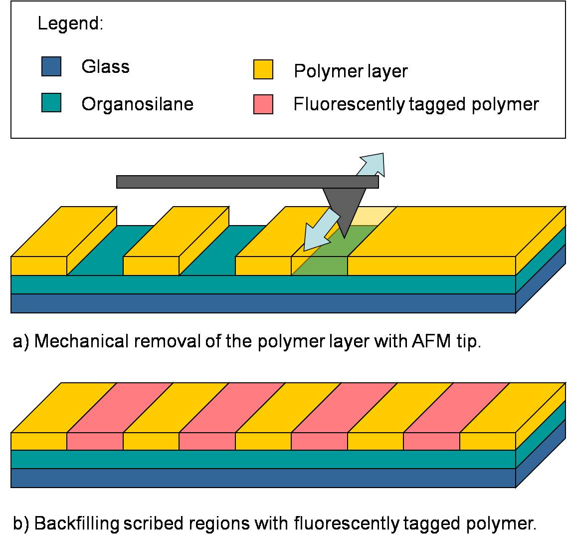 chemp_fig3