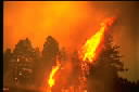 Wildland fire