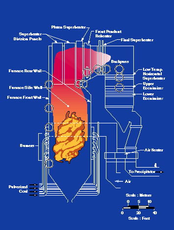 baxter0.jpg (88714 bytes)